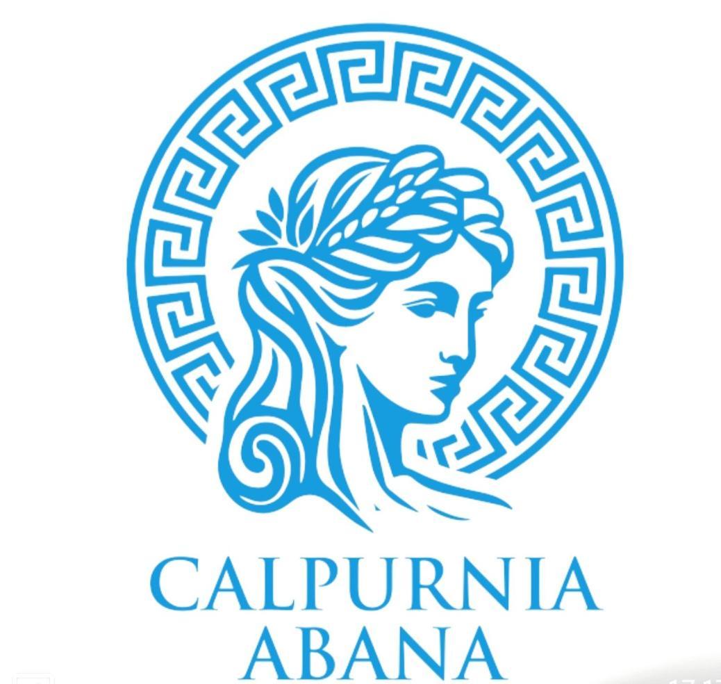 Calpurnia Abana Apartment Ourense Bagian luar foto